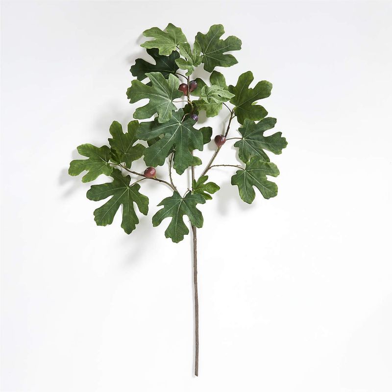 CRATE & BARREL - Rama Flor Higuera 152cm