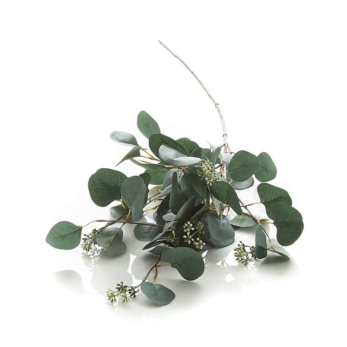 CRATE & BARREL - Rama Flor Eucalipto 122cm