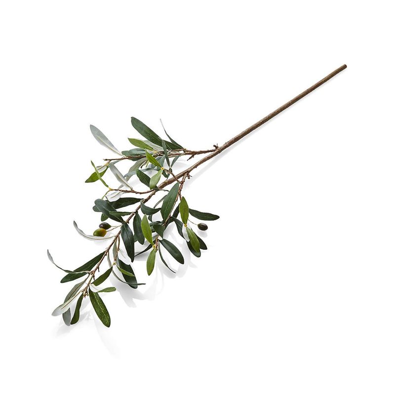 CRATE & BARREL - Rama Flor Oliva 91cm