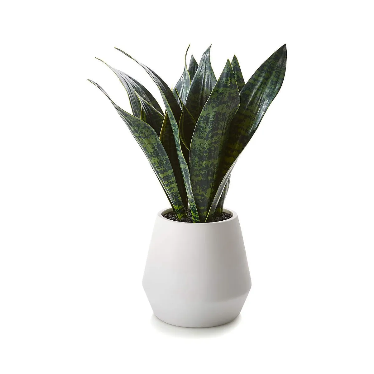 CRATE & BARREL - Planta Sansevieria Artificial con Maceta