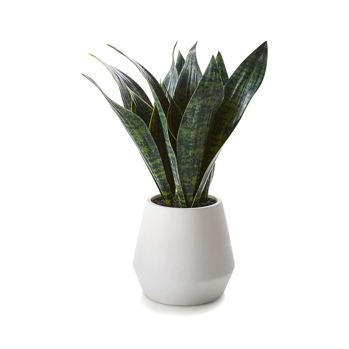 CRATE & BARREL - Planta Sansevieria Artificial con Maceta