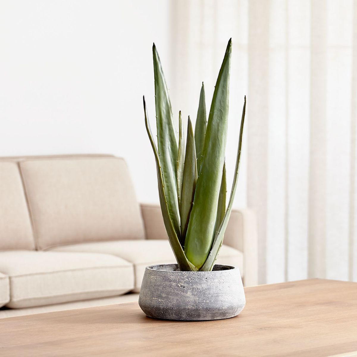 CRATE & BARREL - Agave Artificial en Maceta