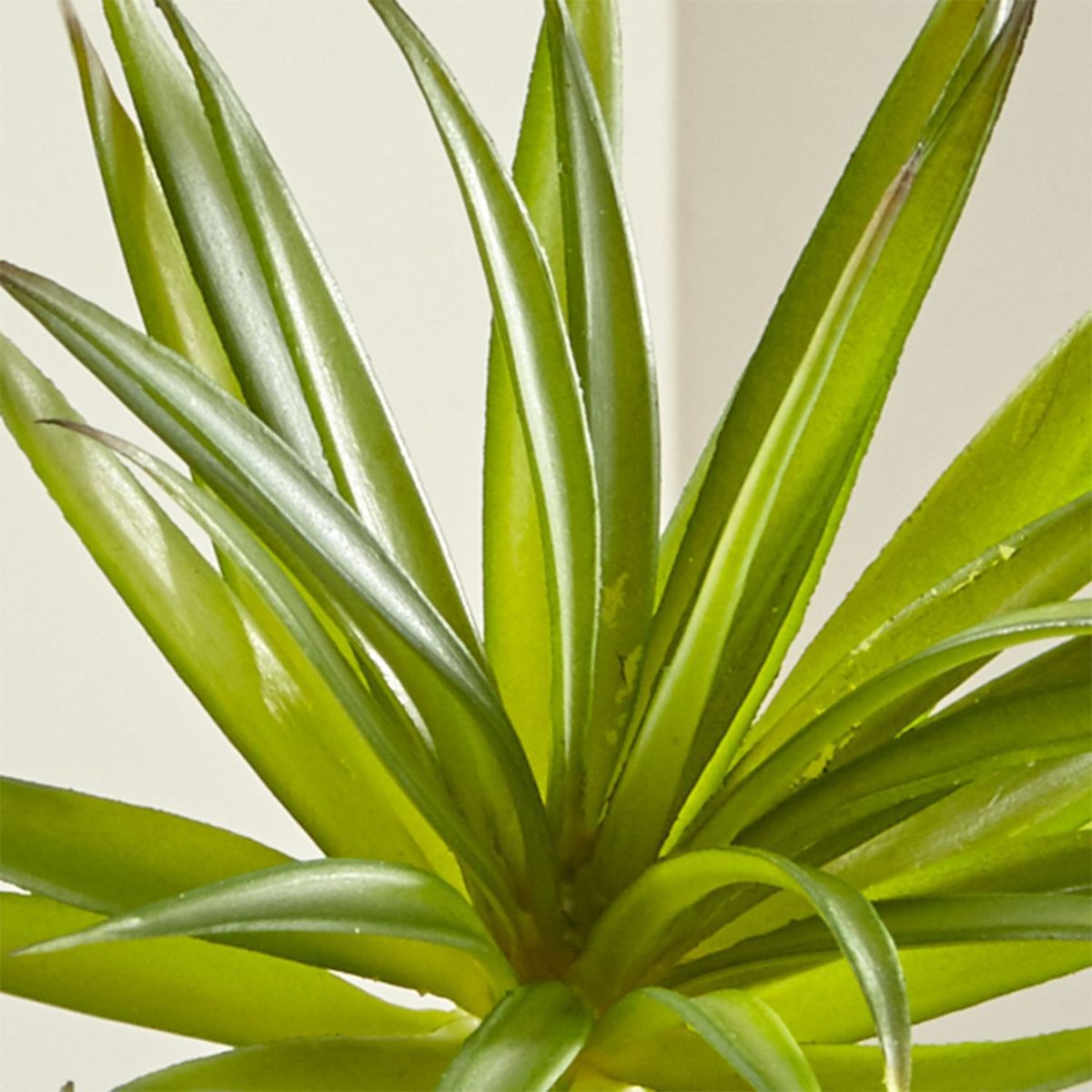 CRATE & BARREL - Rama Flor Suculenta "Yucca Green" 18cm