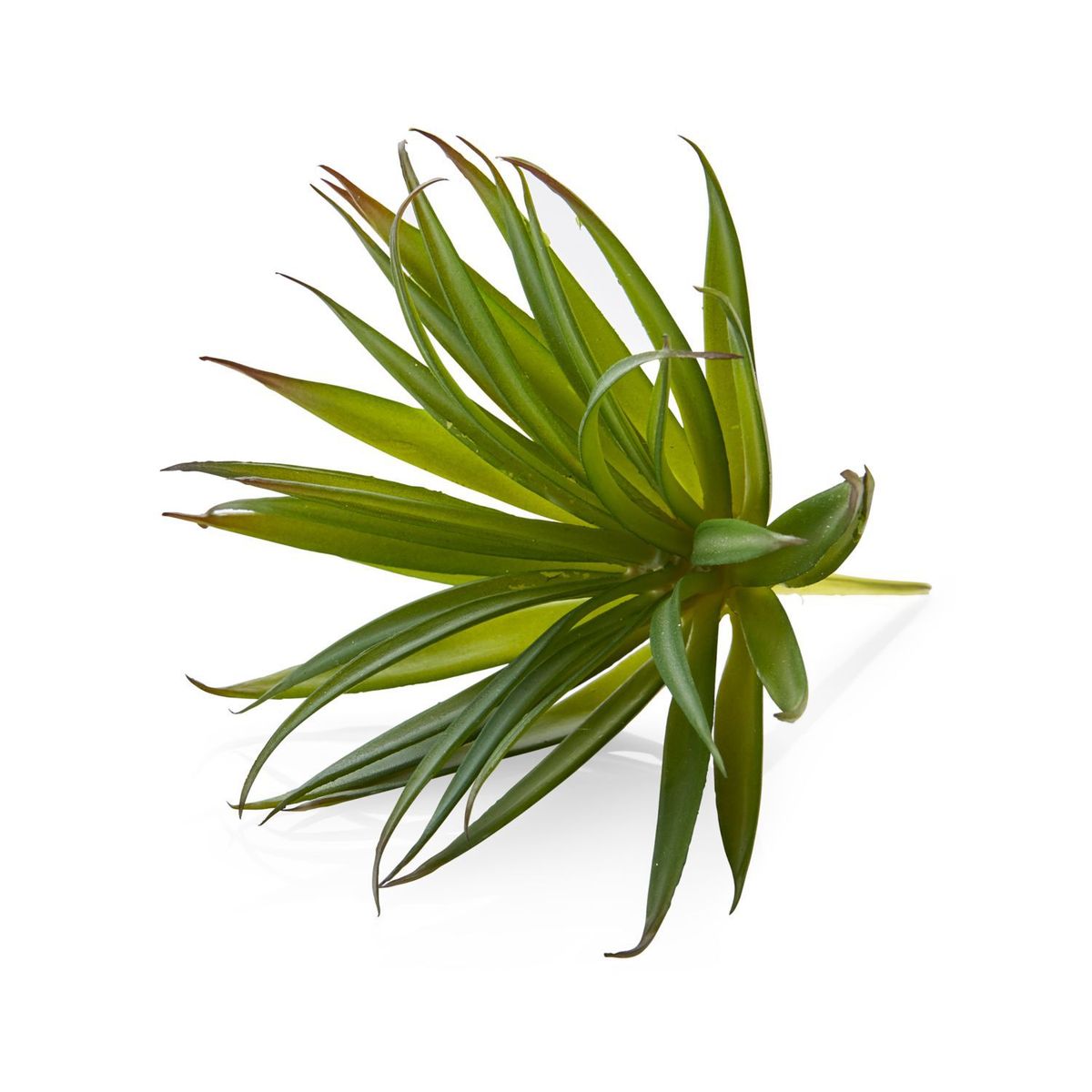 CRATE & BARREL - Rama Flor Suculenta "Yucca Green" 18cm