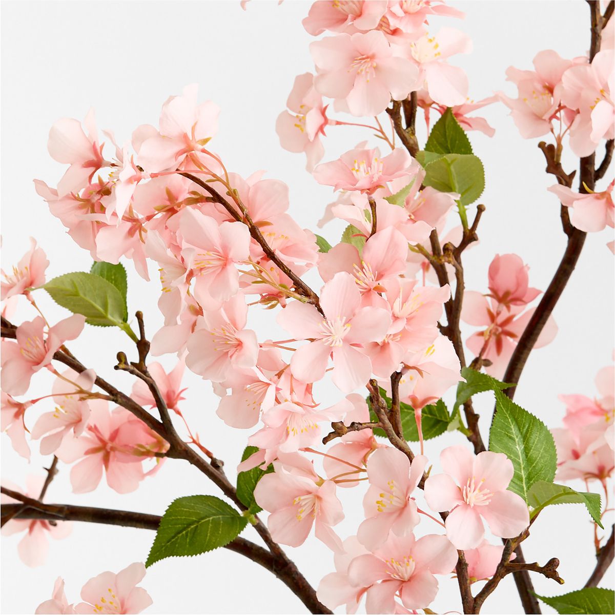 CRATE & BARREL - Rama Flor Cerezo 127cm
