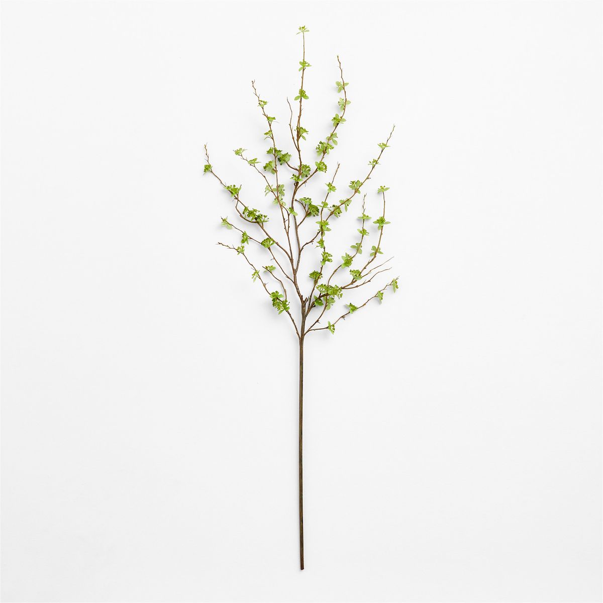 CRATE & BARREL - Rama Decorativa Leaf Spray 130cm