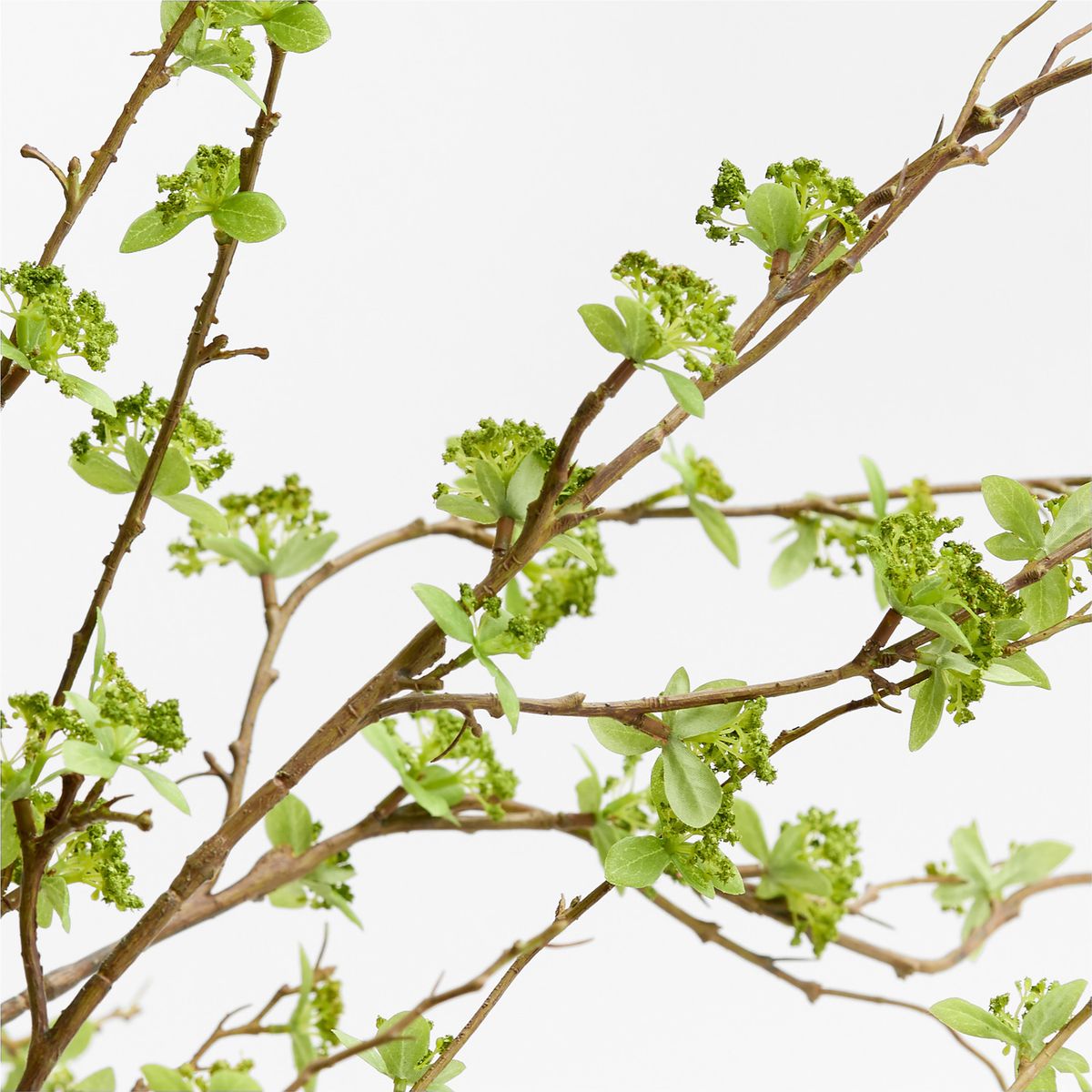 CRATE & BARREL - Rama Decorativa Leaf Spray 130cm