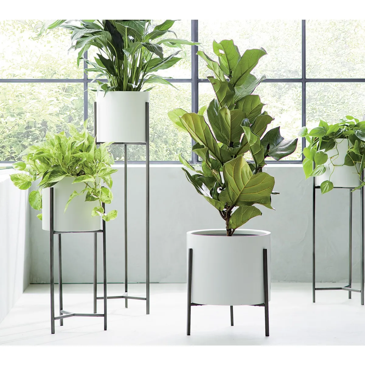 CRATE & BARREL - Maceta Redonda Dundee Blanca