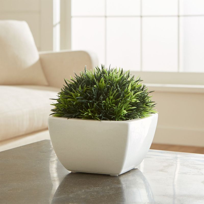 CRATE & BARREL - Maceta con Musgo Artificial