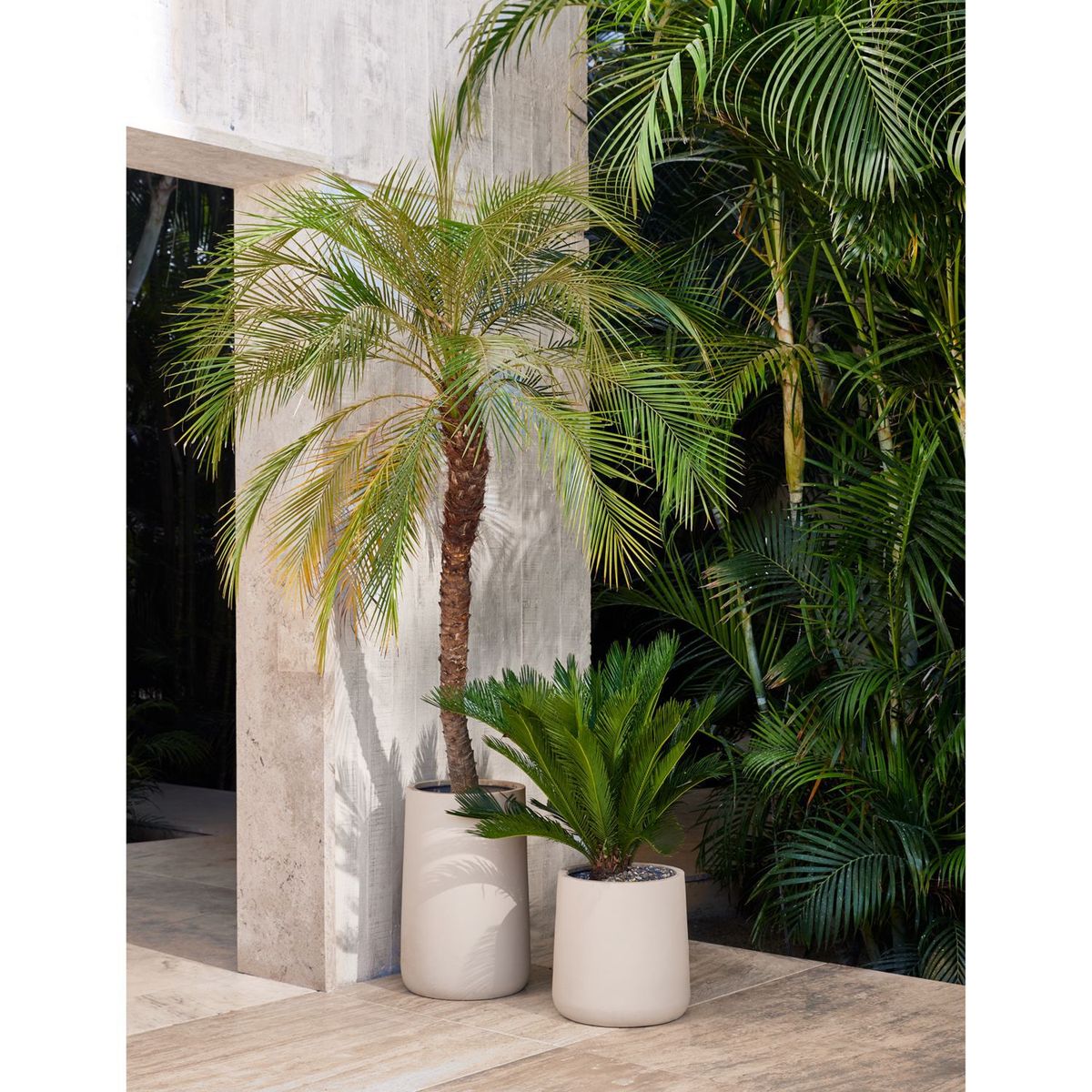 CRATE & BARREL - Maceta Saabira Taupe