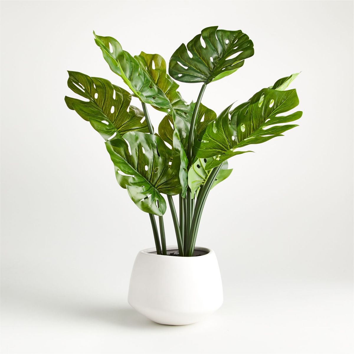CRATE & BARREL - Planta Monstera Artificial con Maceta