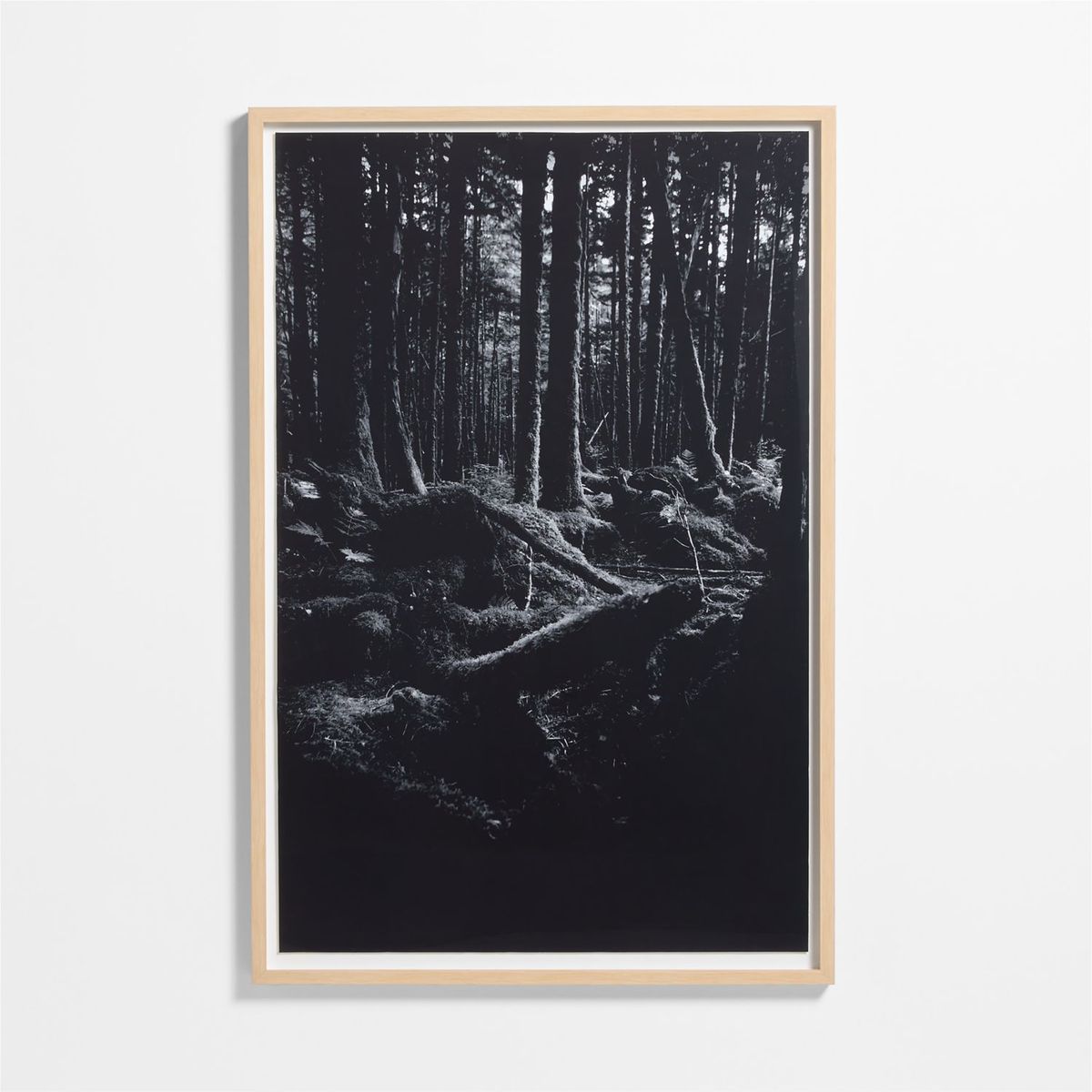 CRATE & BARREL - Cuadro "the Great Bear Rainforest" By Jennifer Maharry 102x152cm