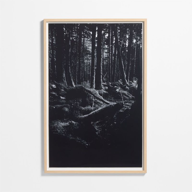 CRATE & BARREL - Cuadro "the Great Bear Rainforest" By Jennifer Maharry 102x152cm