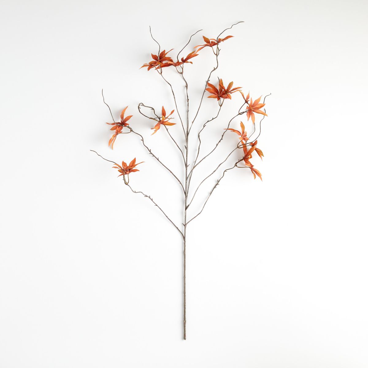 CRATE & BARREL - Tallo de Arce Japonés 91cm