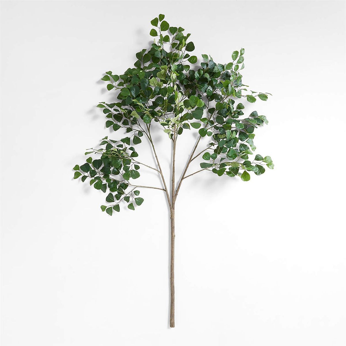 CRATE & BARREL - Rama Flor Ficus Triangular 188cm