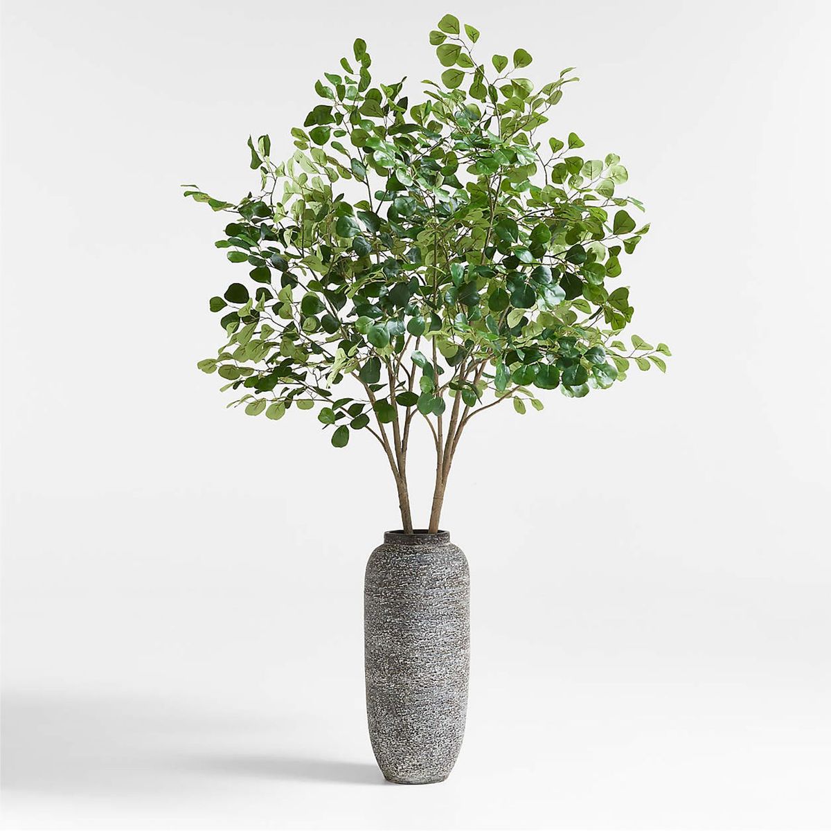 CRATE & BARREL - Rama Flor Ficus Triangular 188cm