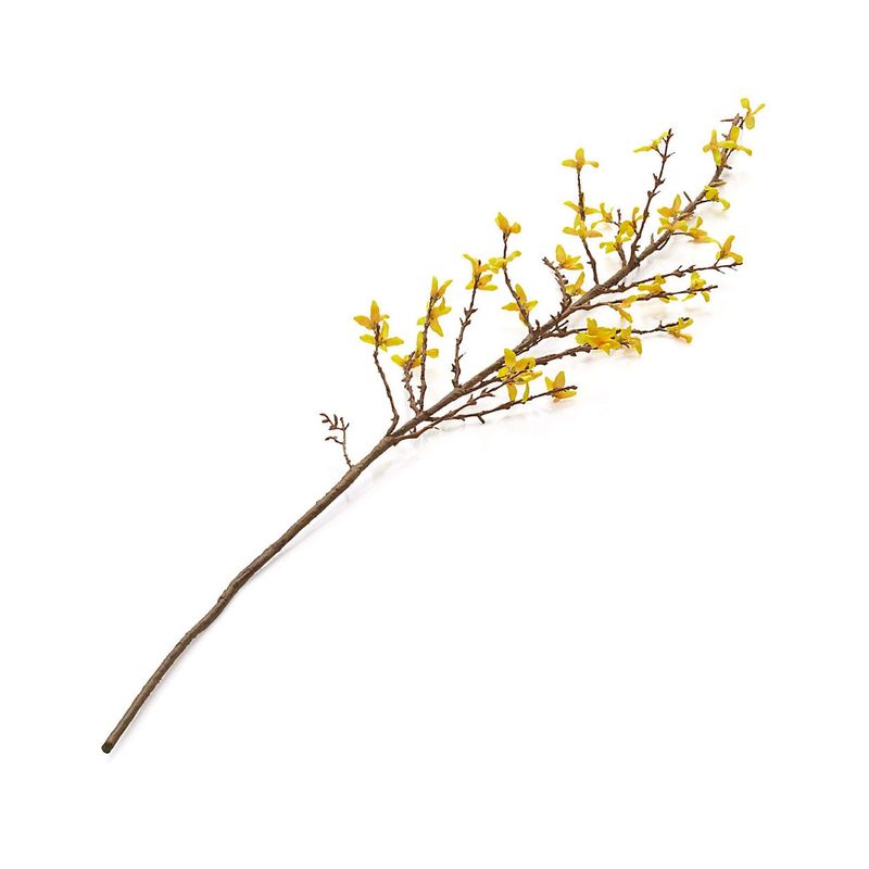 CRATE & BARREL - Rama Flor Forsthia 127cm