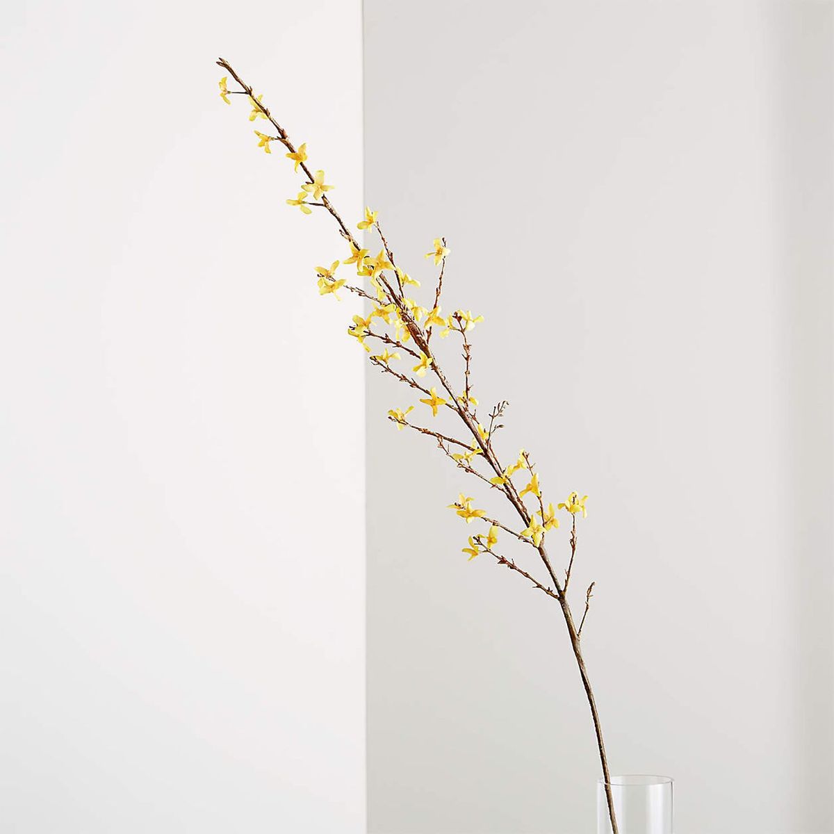 CRATE & BARREL - Rama Flor Forsthia 127cm
