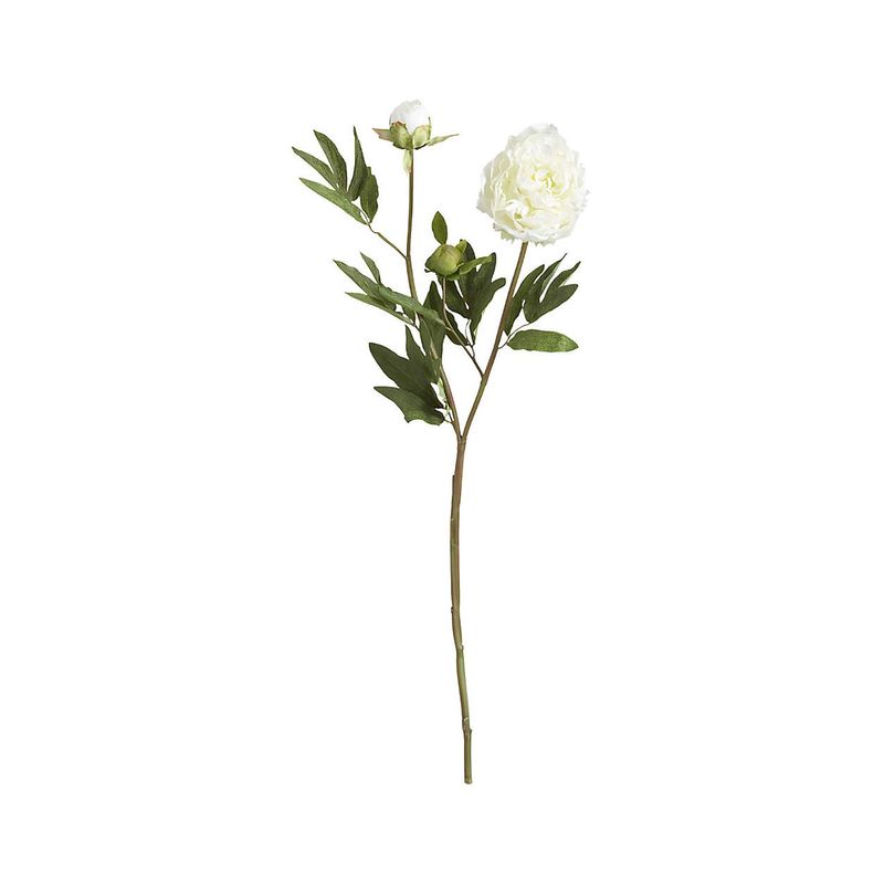 CRATE & BARREL - Rama Flor Peonía Blanca 70cm