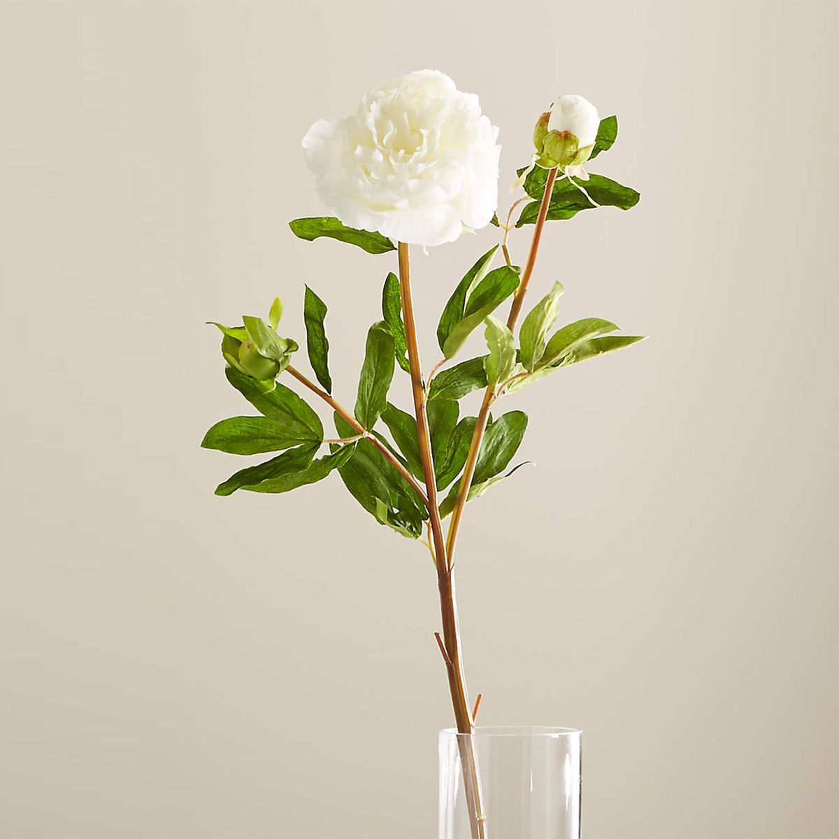 CRATE & BARREL - Rama Flor Peonía Blanca 70cm