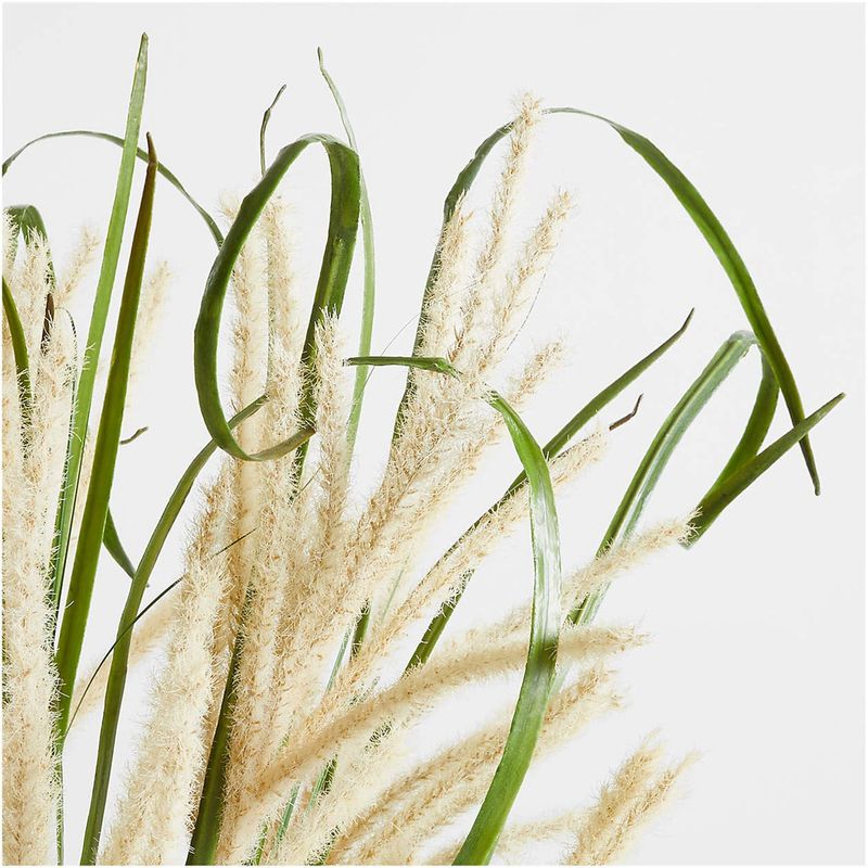 CRATE & BARREL - TALLO ORNAMENTAL