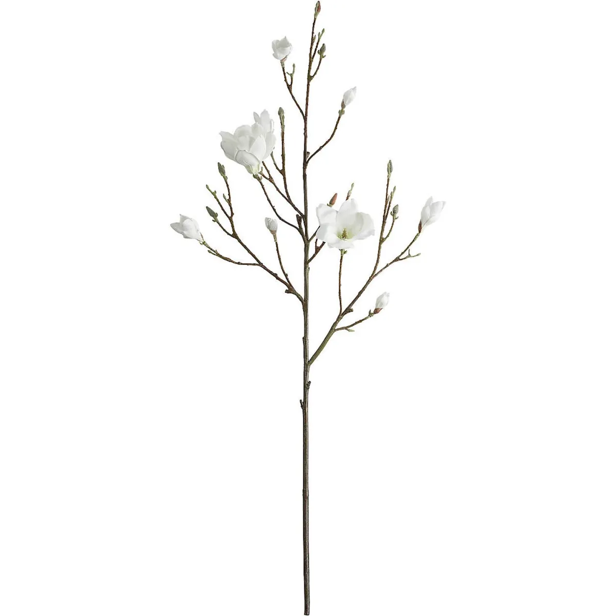 CRATE & BARREL - Rama Flor Magnolia 127cm