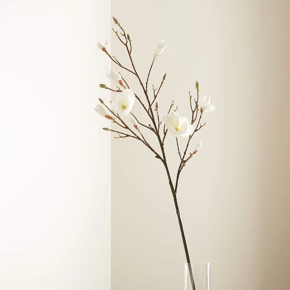 CRATE & BARREL - Rama Flor Magnolia 127cm