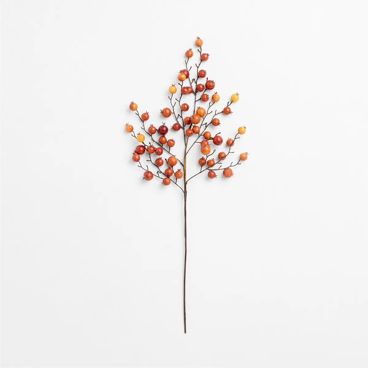 CRATE & BARREL - Rama De Manzana Silvestre 81cm