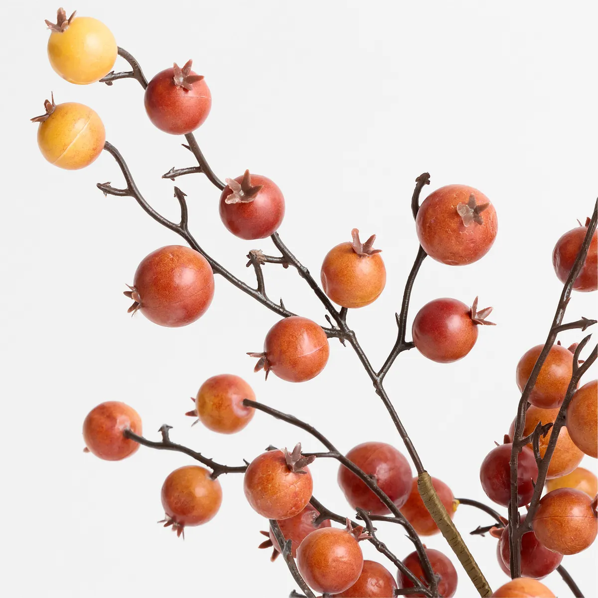 CRATE & BARREL - Rama De Manzana Silvestre 81cm