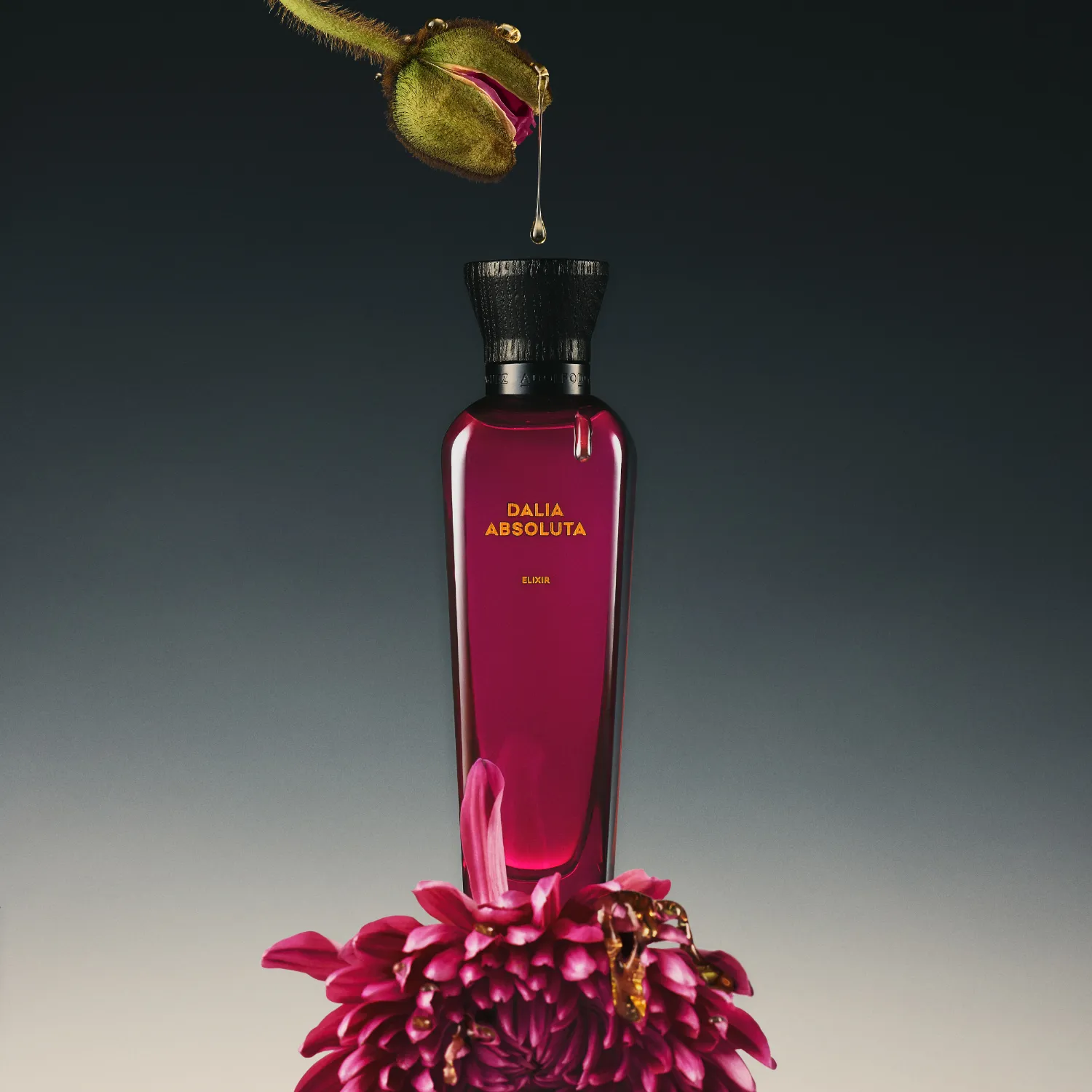 Dalia Absoluta Elixir — Perfume Floral Feminino com Dália e Jasmim