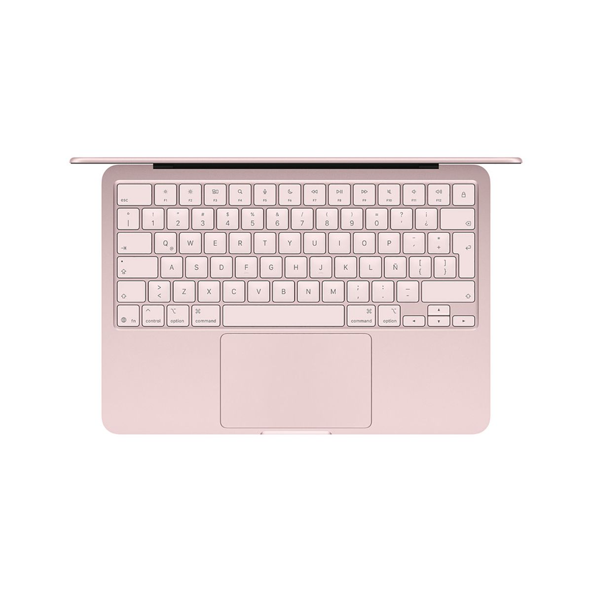 APPLE - MacBook Neo BLS 8GB 256GB