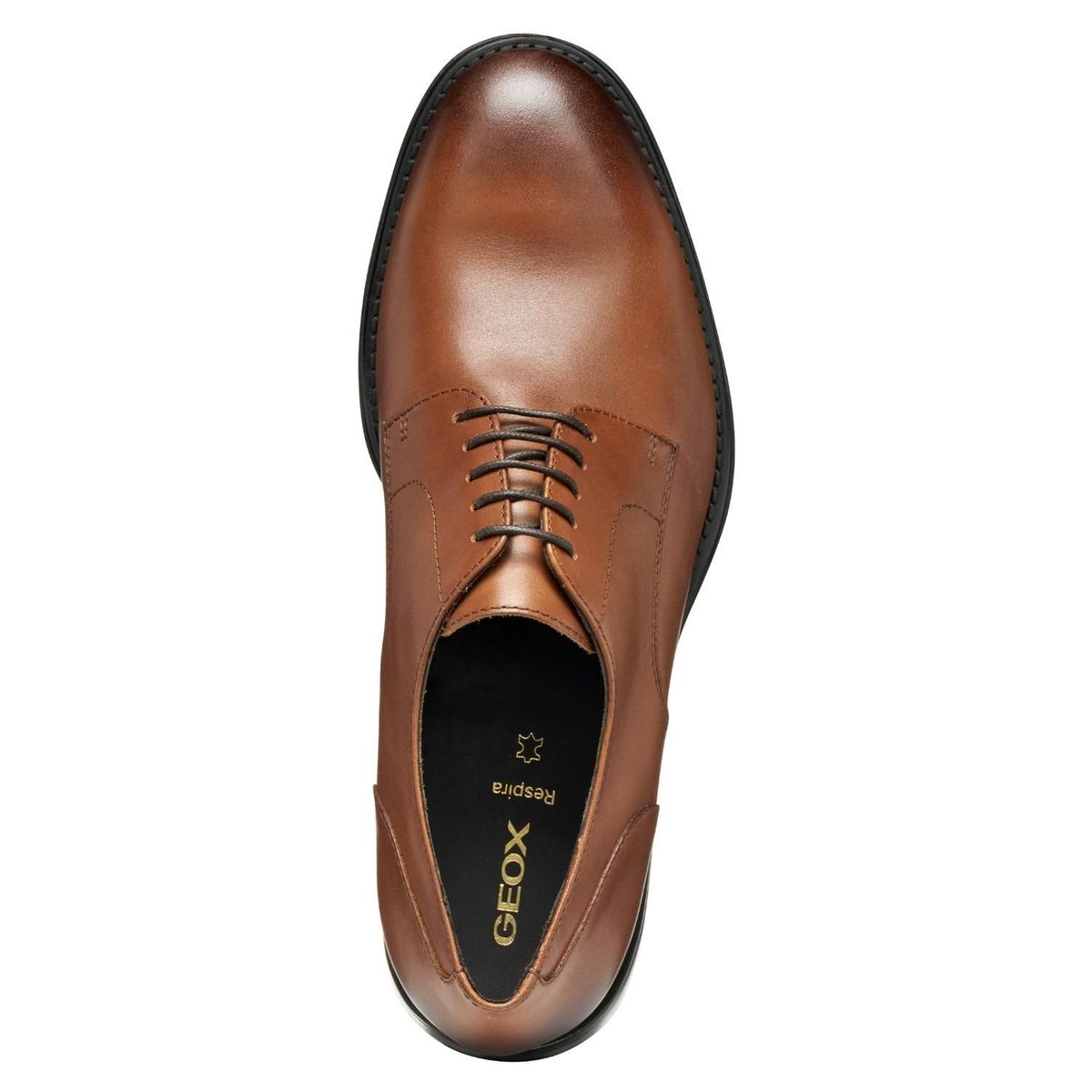 GEOX - Zapato de Vestir Hombre Geox
