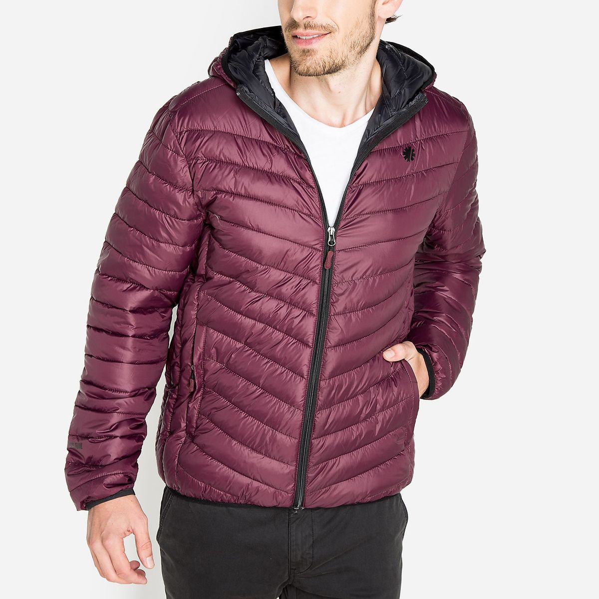 MOUNTAIN GEAR - Casaca Deportes Hombre