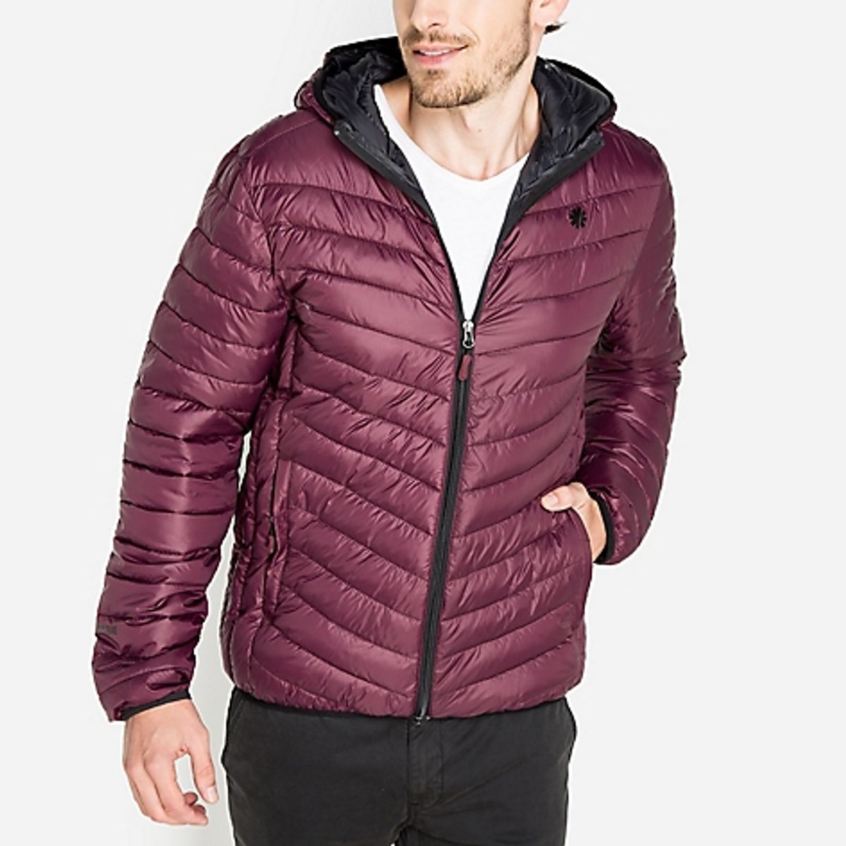 MOUNTAIN GEAR - Casaca Deportes Hombre