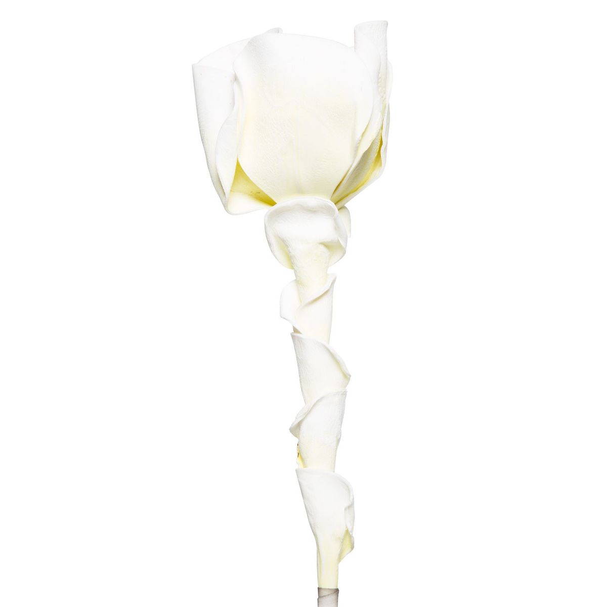 MICA - Flor Espuma 88 cm