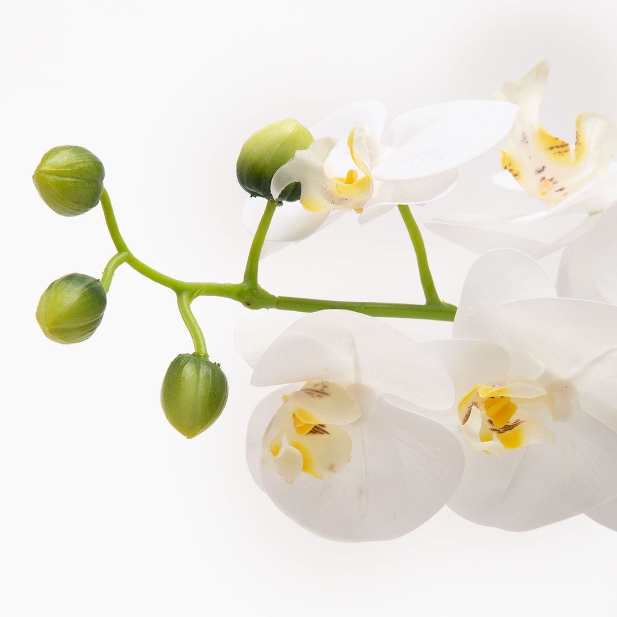 MICA - Orquídea Blanca Cuadrada 56x10cm