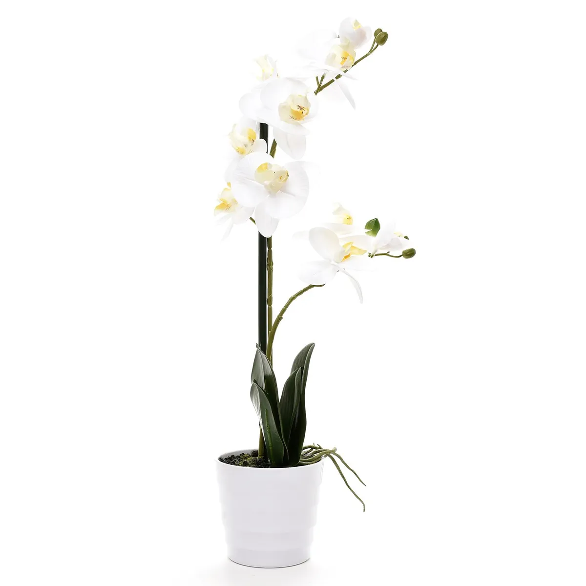 MICA - Orquídea Artificial Mica Mundo Orquideas Blanca 51Cm