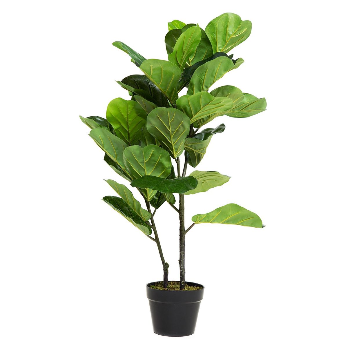 MICA - Planta Artificial Hoja Violin 100x17cm