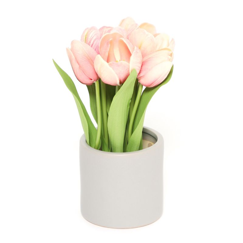 MICA - Pot Tulipan Rosado