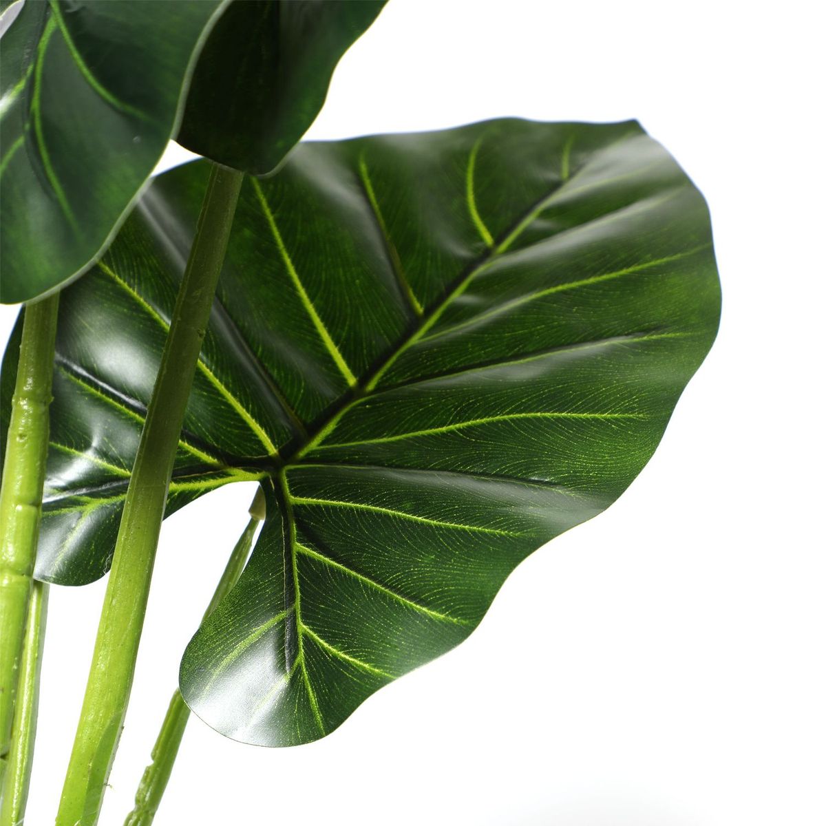 MICA - Planta Taro 60Cm