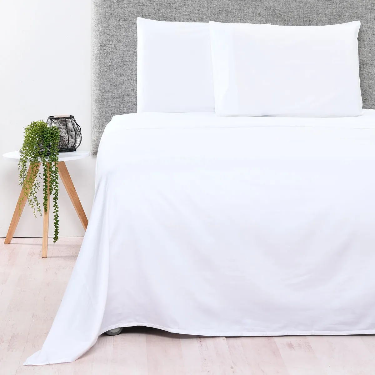 BASEMENT HOME - Juego de Sábanas Lisas 100% Algodón Orgánico 300 Hilos