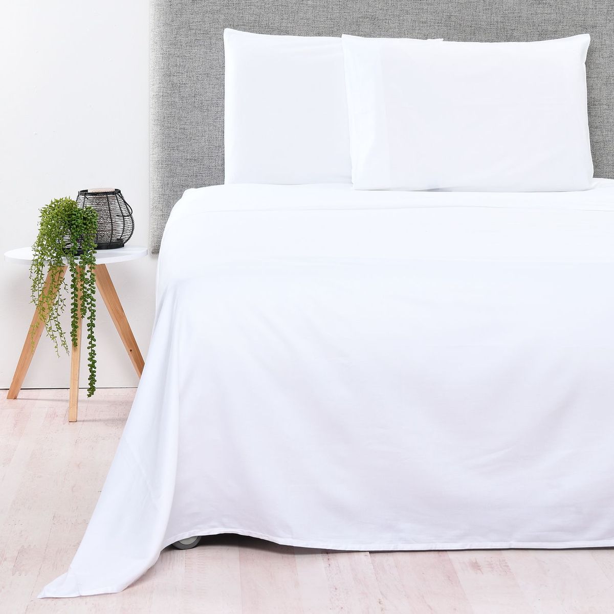 BASEMENT HOME - Juego de Sábanas Lisas 100% Algodón Orgánico 300 Hilos