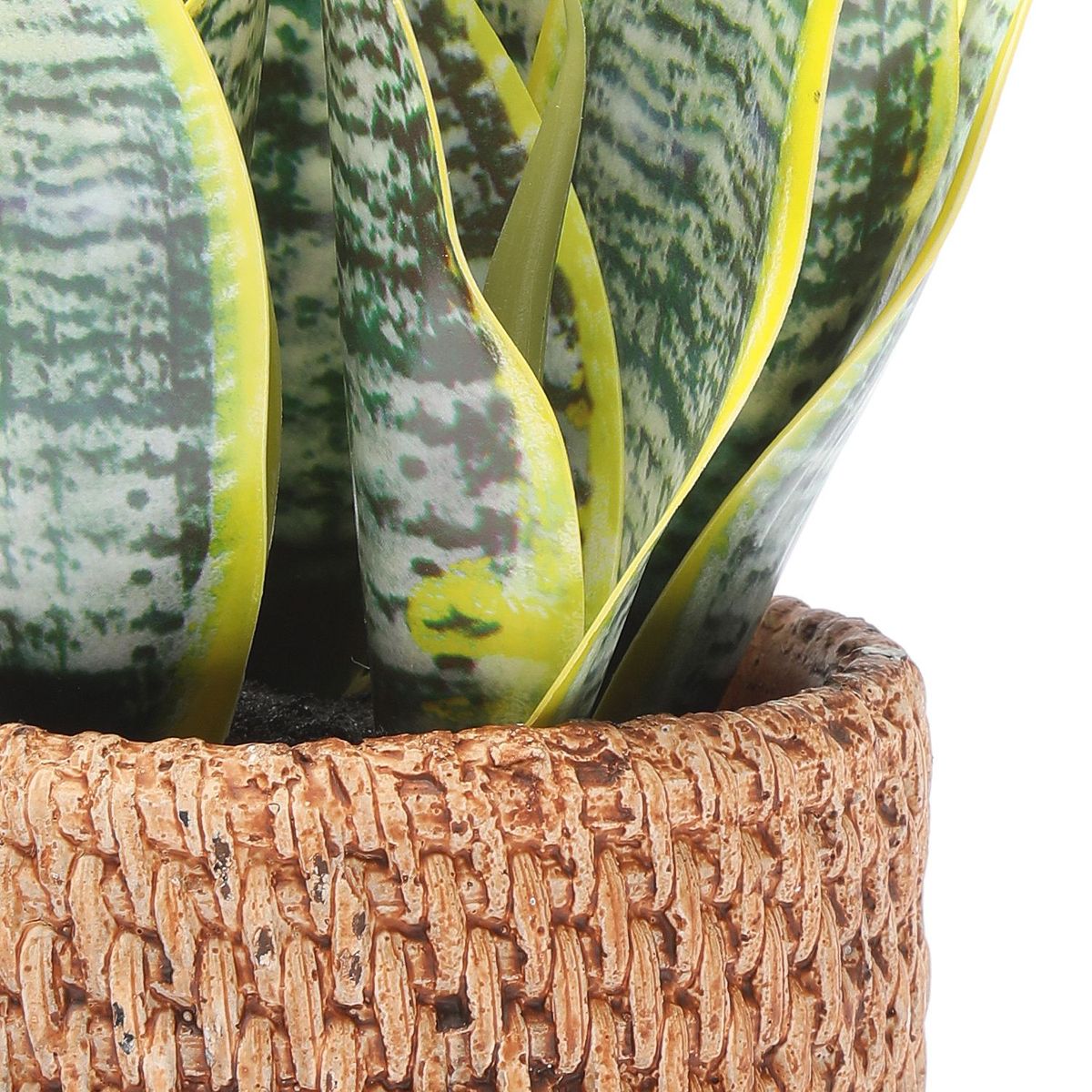 MICA - Planta Sansevieria Pot Rattan 24x11cm