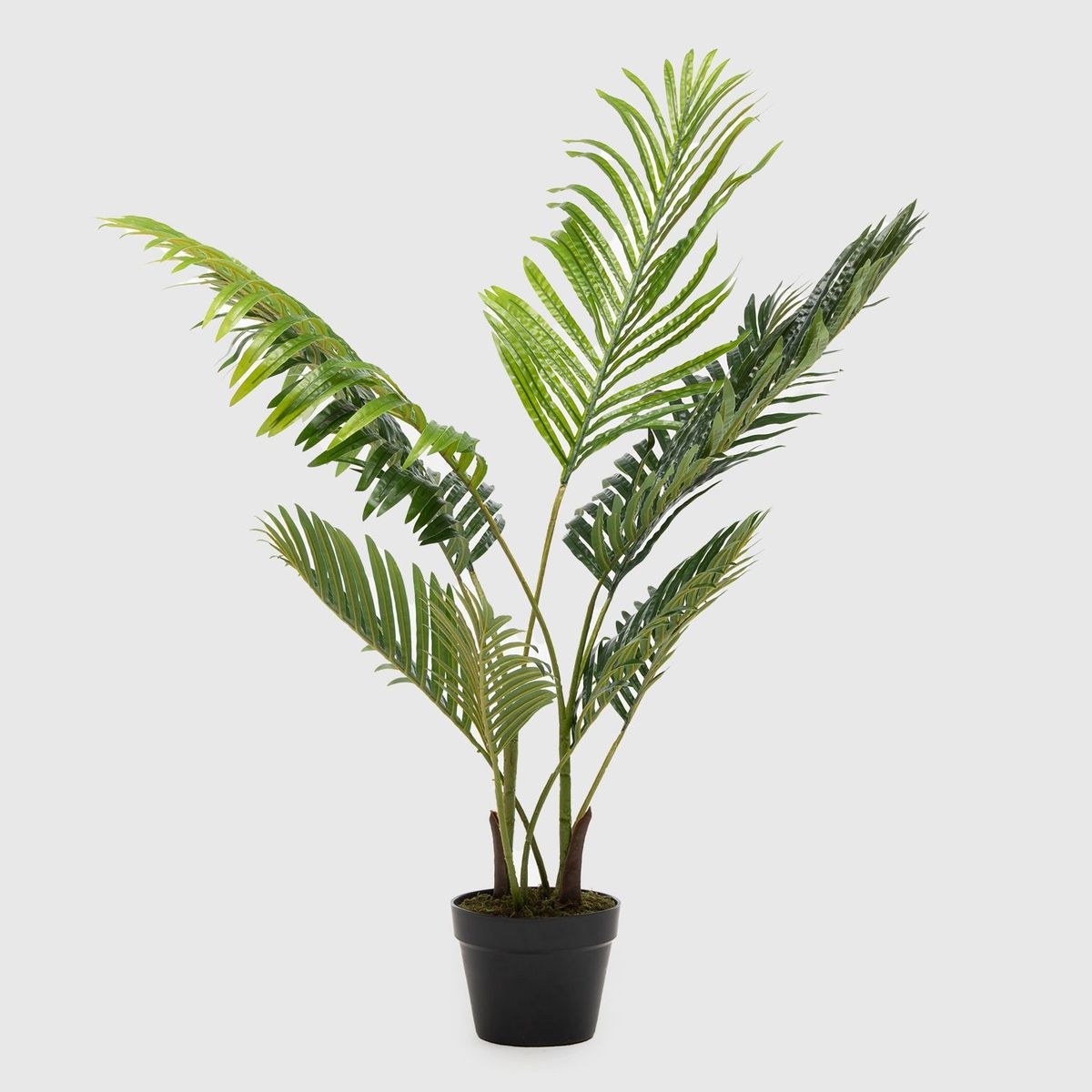 MICA - Planta Areca 100x17cm