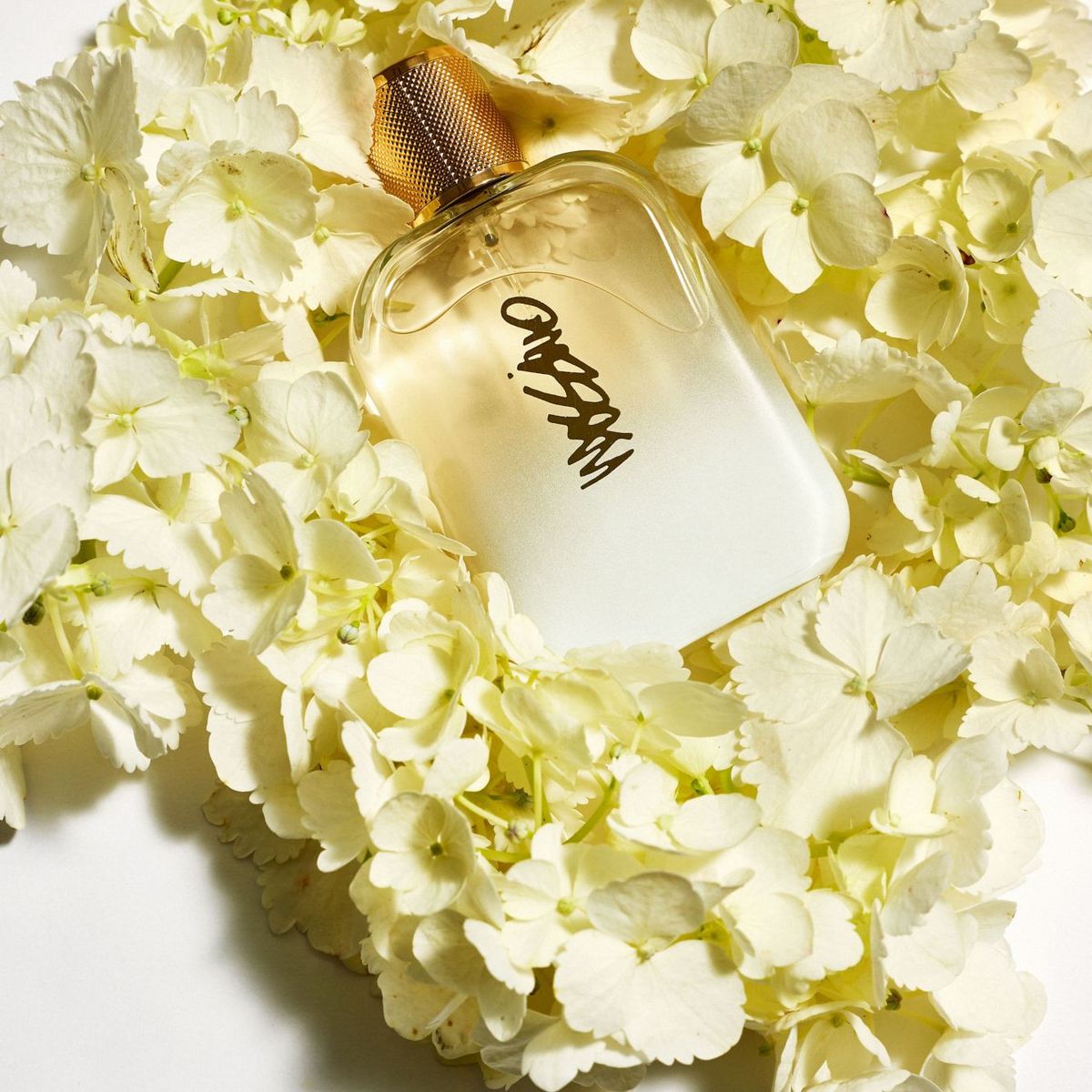 MOSSIMO - Fragancia Gold Mossimo 100 ml