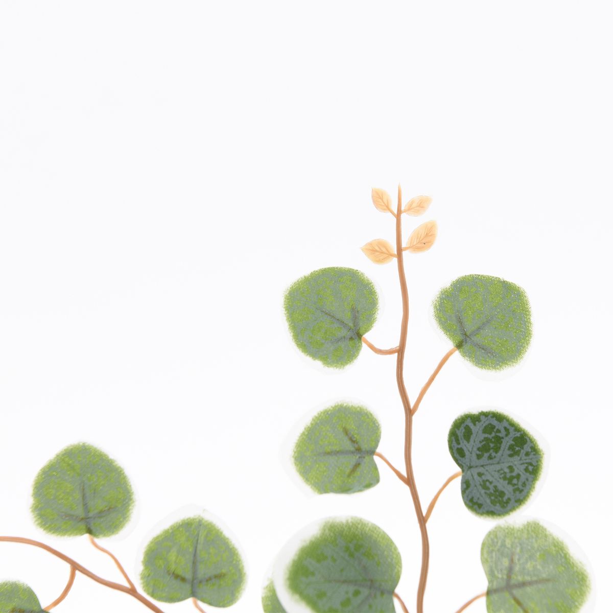 MICA - Planta Collar De Corazones 14.9x9cm