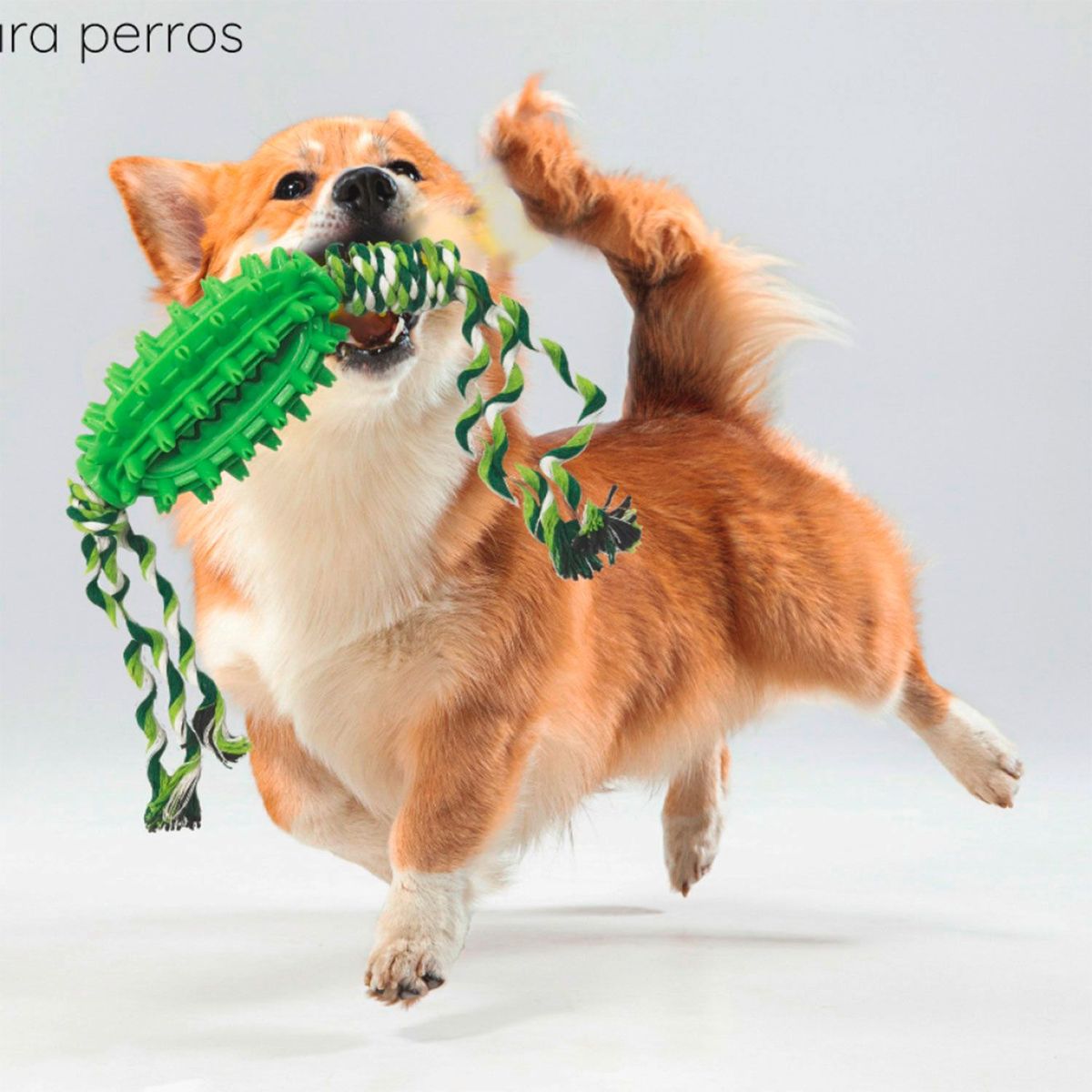 KULCAN - Juguete para Perro Cactus con Cuerda 13x8cm Kulcan