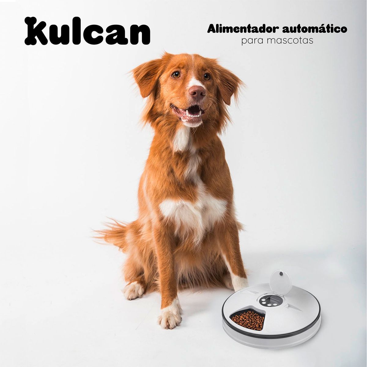 KULCAN - Dispensador de comida Automático para mascotas Kulcan