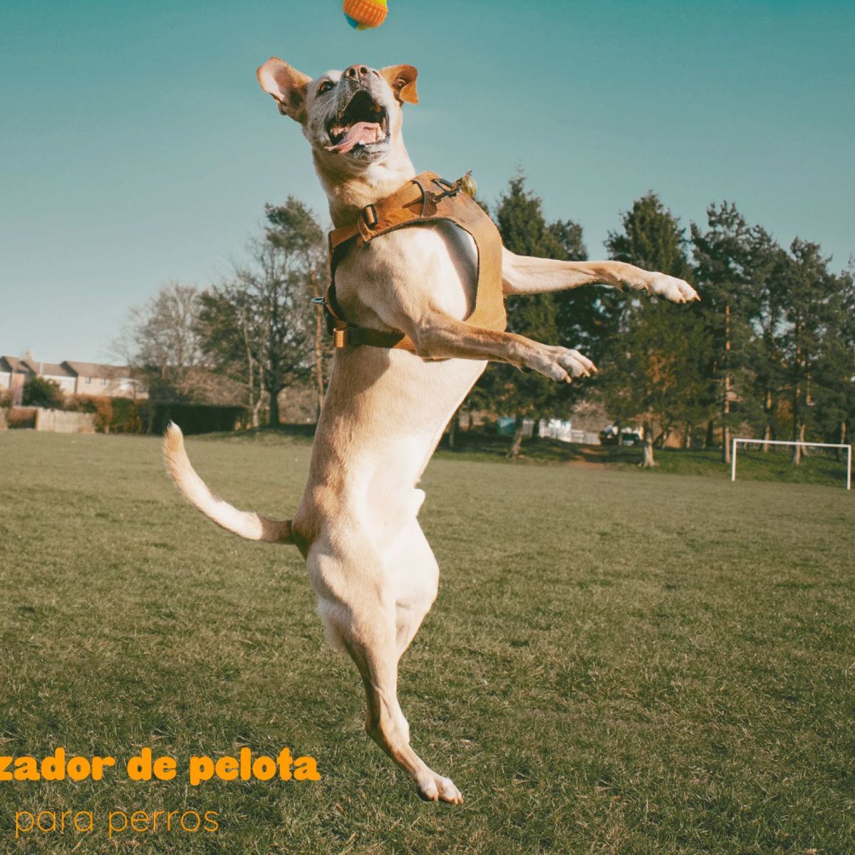 KULCAN - Juguete para Perro Tira Pelotas Kulcan