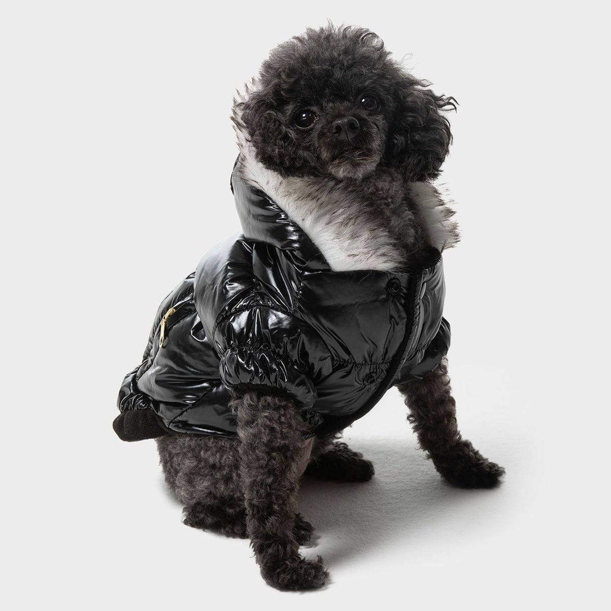 KULCAN - Casaca Puffer para Perro Kulcan